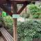 Cottage mit Garten