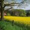 FeWo Harling - Waldoase