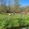Ecolodge Almere with private outdoor terrace