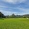 Tràng An rice and fields homestay - 宁平