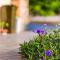 Southern Sun Homestay North