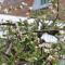 Agda Lund Bed & Breakfast