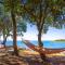 Maistra Camping Valkanela Pitches