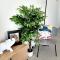 Peyia Paradise Apt