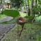 El Colibri Lodge