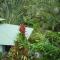 El Colibri Lodge - Manzanillo