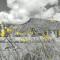 Los Aromos 1
