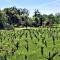 WINE TIME at Alderese Vineyards in Beautiful Amador County