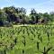 WINE TIME at Alderese Vineyards in Beautiful Amador County - Sutter Creek