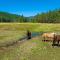 River Cabins | The Lost Sierra Ranch - Graeagle