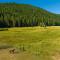 2 Riverfront Cabins, 200 Acres Near Plumas Forest