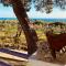 Studios Crete - Ferma