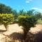 Ecolodge dIsalo