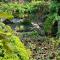 Gloria Homestay ,Thrissur