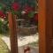 Casa ,,Kiss-lak,,