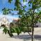Holiday Home Danica by Interhome