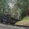 Forest Hideaway - Puffing Billy Railway - Melbourne