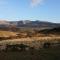 Abergwynant Farm Glamping & Apartments