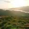 Abergwynant Farm Glamping & Apartments