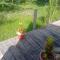 Real African Life safaris and Camps