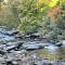 The Evening Shade River Lodge and Cabins - تشيمني روك