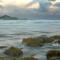Cape South Estate - International award-winning country estate with Pacific views