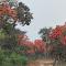 Gitanjali Forest Retreat - Bāghmundi