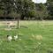 Country Retreats on Ranzau 8