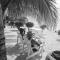 Rarotonga Villas Absolute Beachfront - 阿罗朗吉