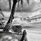 Rarotonga Villas Absolute Beachfront