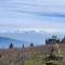 Hartola Panorama Homestay