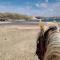 Caballo de Mar Frison Cabo de Gata