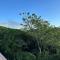 Mzimayi River Lodge - Hibberdene