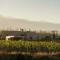 Bodega Alpasión Lodge y Glamping