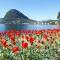 Little Lugano - Happy Rentals