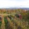 Vineyard Cottage Bahor - Happy Rentals