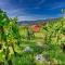 Vineyard Cottage Bahor - Happy Rentals