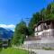 Holiday Home Chalet Guldeli by Interhome - Kandergrund