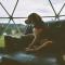Greenacres Glamping