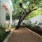 Mgongo tree house
