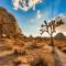 Nightsky Nest ※ Desert Getaway by Joshua Tree Park - تونتي ناين بالمز