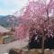 root hakone - Хаконе
