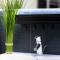 Blauer Stein - Echo WH05 - Penthouse