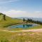 Farmhouse Blackberry Pool & Wellness- Happy Rentals