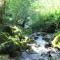 House By The Stream - Happy Rentals - Avče