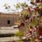 Embrace Sicily Guest House