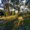 Eclectic Ranch Style Home - Sleeps 12 - Belleview