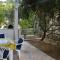 Apartments Sersic Baska
