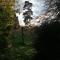 Stargazer Glamping UK The Mahal 8 People