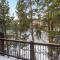 2 BDR Winter Point Close to Skiing Hiking and Town - Breckenridge